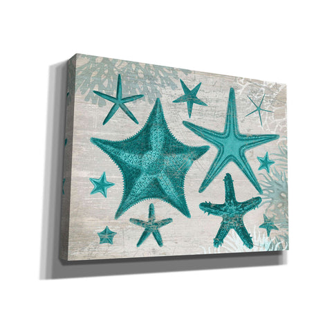 Image of 'Green Starfish Collection' by Fab Funky, Giclee Canvas Wall Art