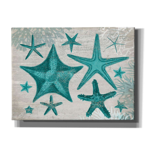 Image of 'Green Starfish Collection' by Fab Funky, Giclee Canvas Wall Art