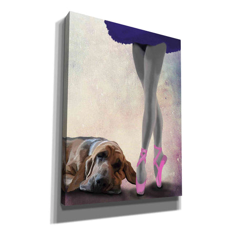 Image of 'Bloodhound And Ballet Dancer' by Fab Funky Giclee Canvas Wall Art