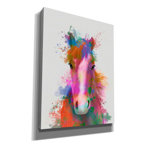 Image of 'Horse Portrait 2 Rainbow Splash' by Fab Funky Giclee Canvas Wall Art