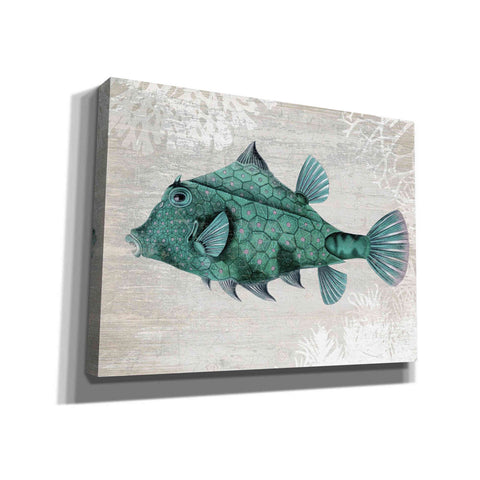 Image of 'Turquoise Turret Fish' by Fab Funky Giclee Canvas Wall Art