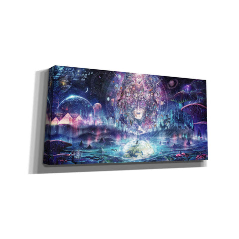 Image of 'Quest for the Peak Experience' by Cameron Gray, Canvas Wall Art