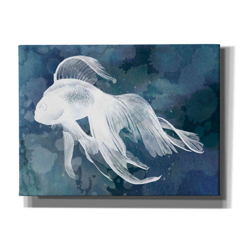Image of 'Indigo Fish I' by Grace Popp Canvas Wall Art