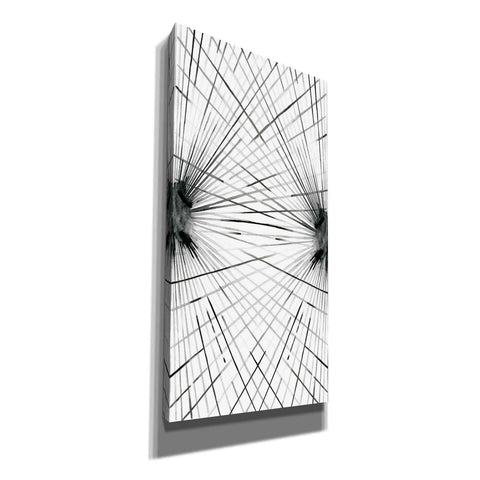 Image of 'Rays IV' by Grace Popp Canvas Wall Art