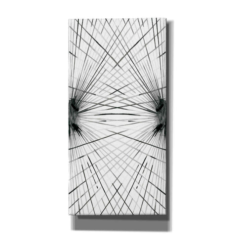 Image of 'Rays IV' by Grace Popp Canvas Wall Art