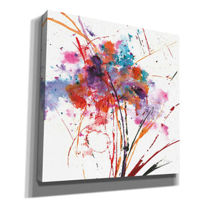 'Floral Explosion I on White' by Jan Griggs, Giclee Canvas Wall Art