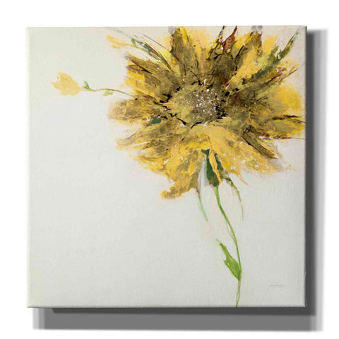 Image of 'Yellow Daisy on White' by Jan Griggs, Giclee Canvas Wall Art