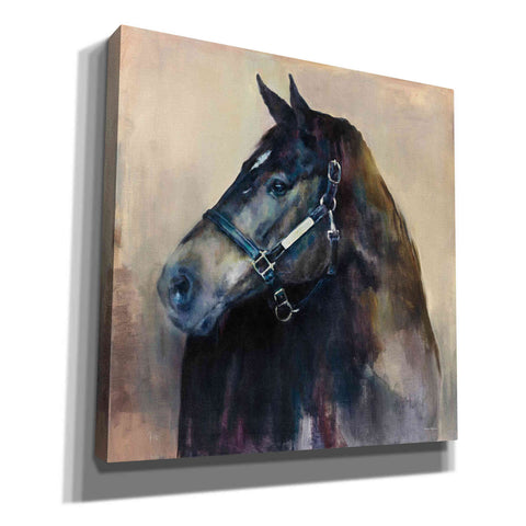 Image of 'Ritzy Light' by Marilyn Hageman, Canvas Wall Art