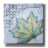 'Channeling Fall 2' by Britt Hallowell, Canvas Wall Art,Size 1 Square