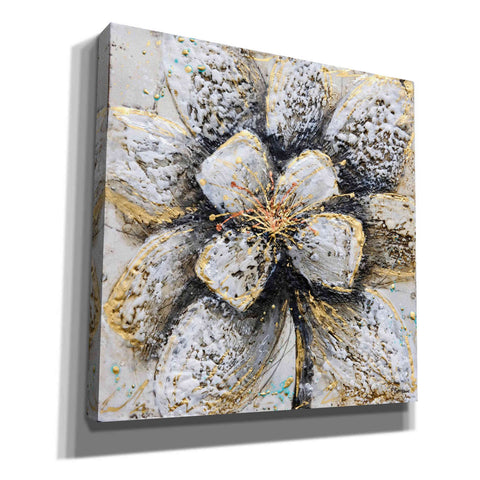 Image of 'Explosion of Petals' by Britt Hallowell, Canvas Wall Art,Size 1 Square