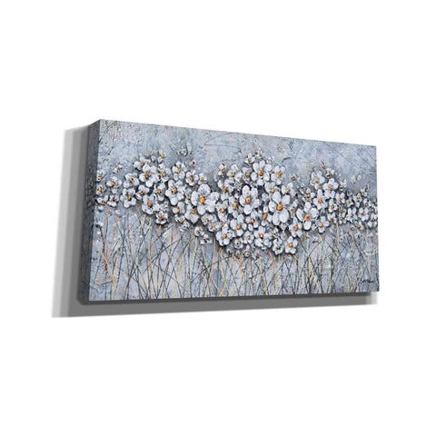 Image of 'Fields of Pearls' by Britt Hallowell, Canvas Wall Art,Size 2 Landscape