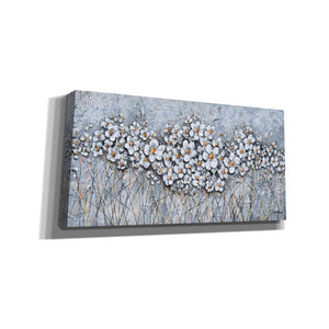 'Fields of Pearls' by Britt Hallowell, Canvas Wall Art,Size 2 Landscape