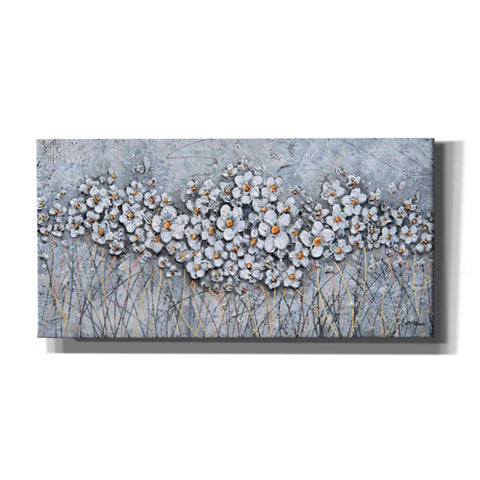 Image of 'Fields of Pearls' by Britt Hallowell, Canvas Wall Art,Size 2 Landscape