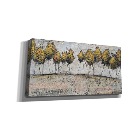 Image of 'A Route of Gold' by Britt Hallowell, Canvas Wall Art,Size 2 Landscape