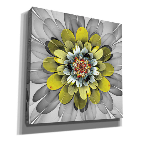 Image of 'Fractal Blooms IV' by James Burghardt Giclee Canvas Wall Art