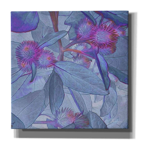 Image of 'Prickley Tiles IV' by James Burghardt Giclee Canvas Wall Art