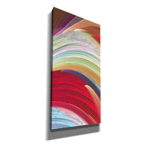 'Wind Waves I' by James Burghardt Giclee Canvas Wall Art