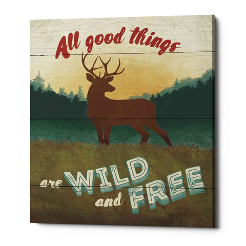 Image of 'Discover the Wild II' by Janelle Penner, Canvas Wall Art