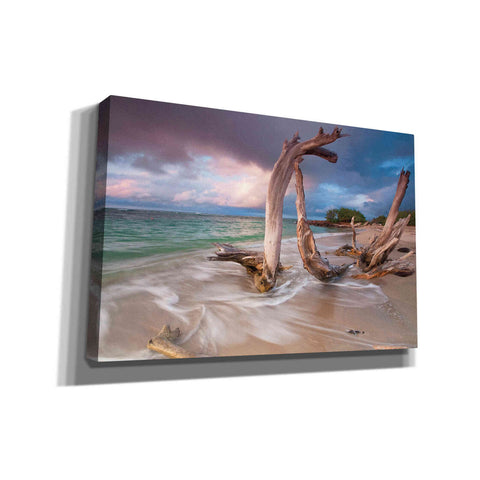 Image of 'Driftwood Sunset' by Katherine Gendreau, Giclee Canvas Wall Art