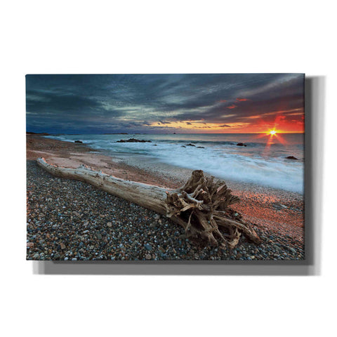Image of 'Sakonnet Driftwood' by Katherine Gendreau, Giclee Canvas Wall Art
