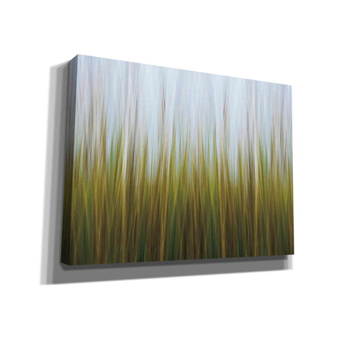 Image of 'Sea Grass Canvas' by Katherine Gendreau, Giclee Canvas Wall Art