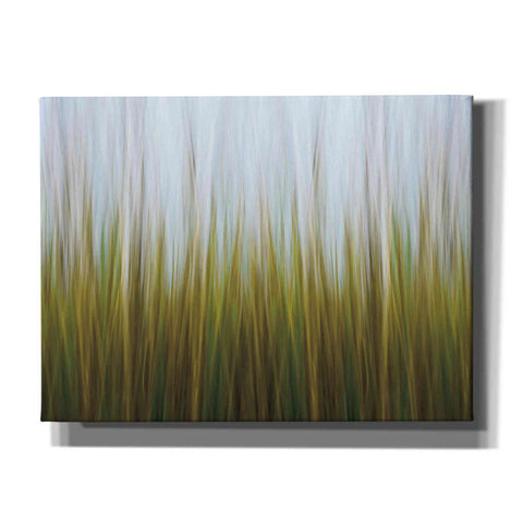 Image of 'Sea Grass Canvas' by Katherine Gendreau, Giclee Canvas Wall Art