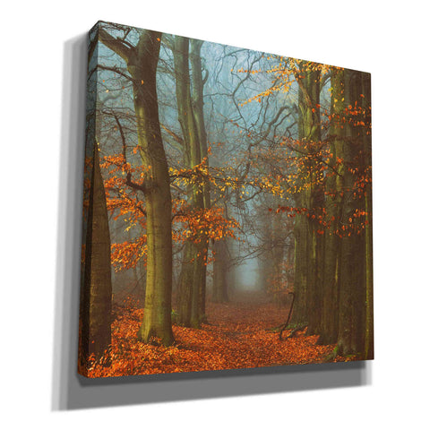 Image of 'Path of The Mystics' by Lars van de Goor, Giclee Canvas Wall Art