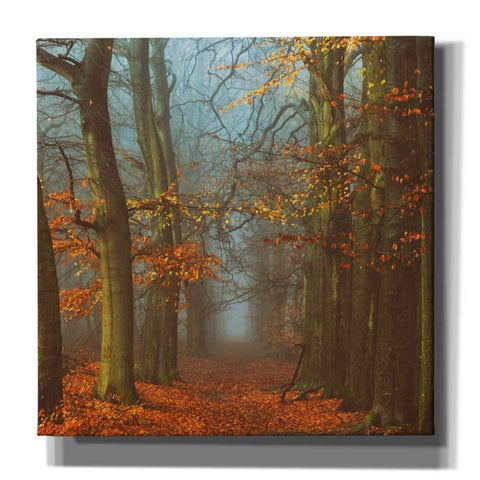 Image of 'Path of The Mystics' by Lars van de Goor, Giclee Canvas Wall Art