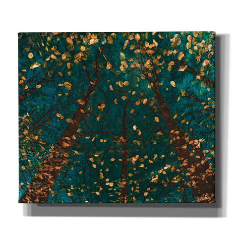 Image of 'Plato's Trees' by Lars van de Goor, Giclee Canvas Wall Art