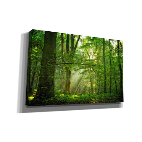 Image of 'Breathe' by Lars van de Goor, Giclee Canvas Wall Art