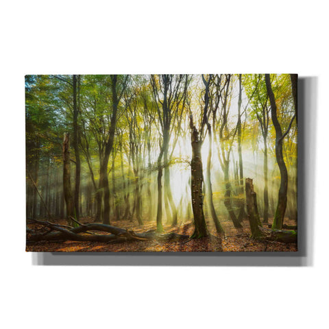 Image of 'Still Standing' by Lars van de Goor, Giclee Canvas Wall Art