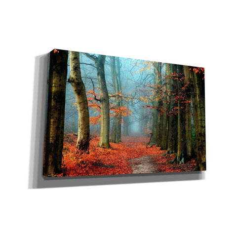 Image of 'Bussum in Fall' by Lars van de Goor, Giclee Canvas Wall Art