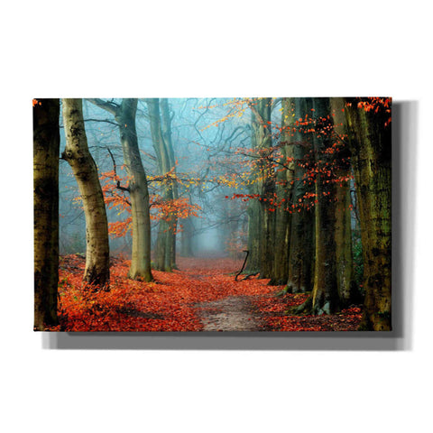 Image of 'Bussum in Fall' by Lars van de Goor, Giclee Canvas Wall Art