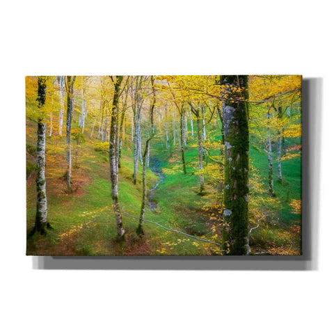 Image of 'Dream of Birches' by Lars van de Goor, Giclee Canvas Wall Art