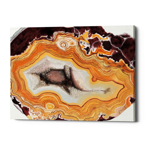 Image of 'Agate Studies III" by Naomi McCavitt. McCavitt Giclee Canvas Wall Art