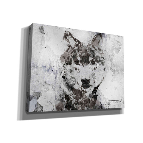 Image of 'Rustic Wolf Portrait 3' by Irena Orlov, Canvas Wall Art