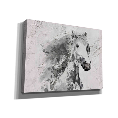 Image of 'White Stallion 1' by Irena Orlov, Canvas Wall Art