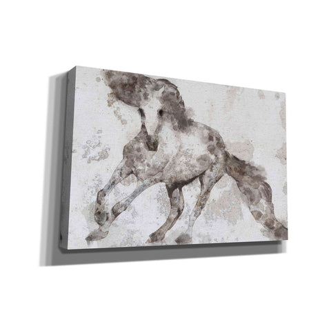 Image of 'Alydar Horse' by Irena Orlov, Canvas Wall Art