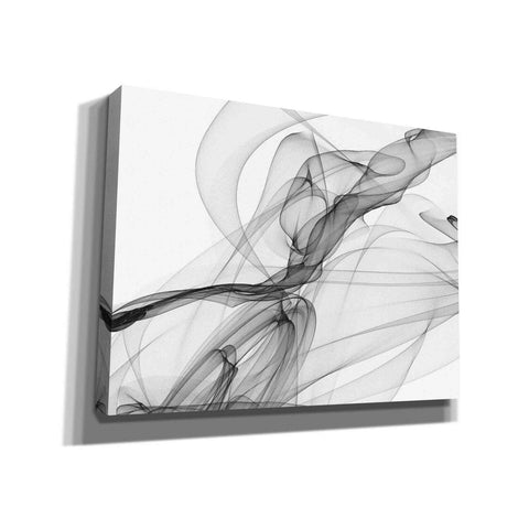 Image of 'Abstract Black and White 18-21' by Irena Orlov, Canvas Wall Art