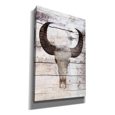 Image of 'Bullock Skull' by Irena Orlov, Canvas Wall Art
