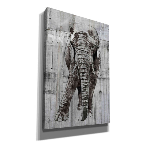 Image of 'ELEPHANT Portrait' by Irena Orlov, Canvas Wall Art