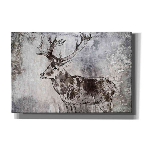 Image of 'Javan Rusa' by Irena Orlov, Canvas Wall Art