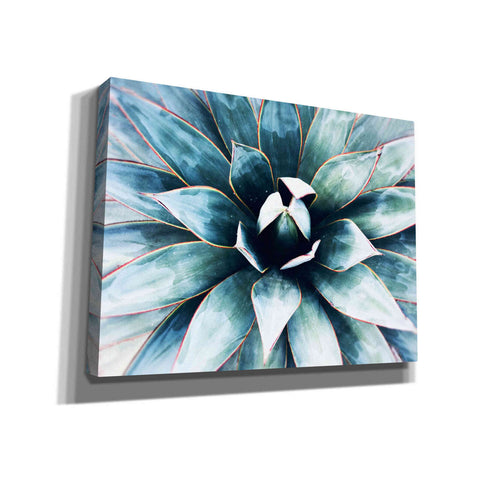 Image of 'Tropical Star' by Irena Orlov, Canvas Wall Art