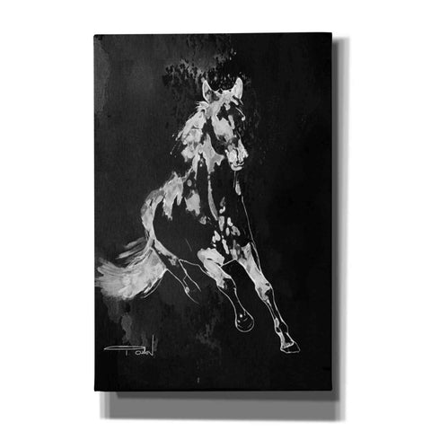 Image of 'Wild Running Horse 2' by Irena Orlov, Canvas Wall Art