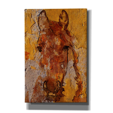 Image of 'Yellow Horse' by Irena Orlov, Canvas Wall Art