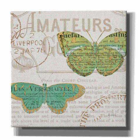 Image of 'Bookshelf Botanical IX' by Katie Pertiet, Canvas Wall Art