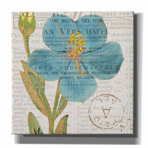 Image of 'Bookshelf Botanical VI' by Katie Pertiet, Canvas Wall Art