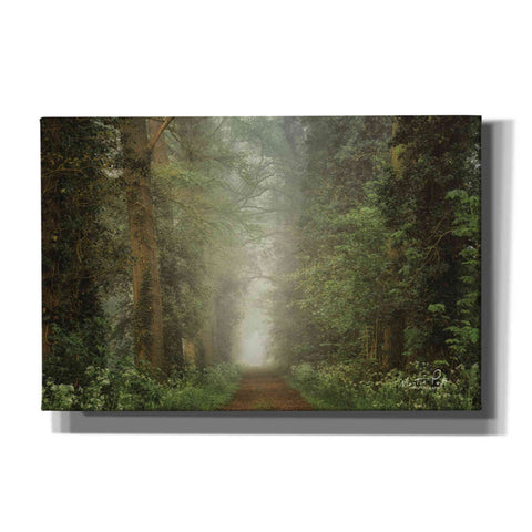 Image of 'Misty Spring Road' by Martin Podt, Canvas Wall Art,Size A Landscape