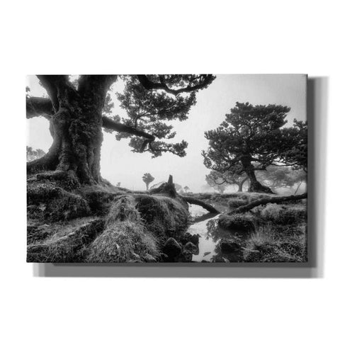 Image of 'Black & White Fanal' by Martin Podt, Canvas Wall Art,Size A Landscape