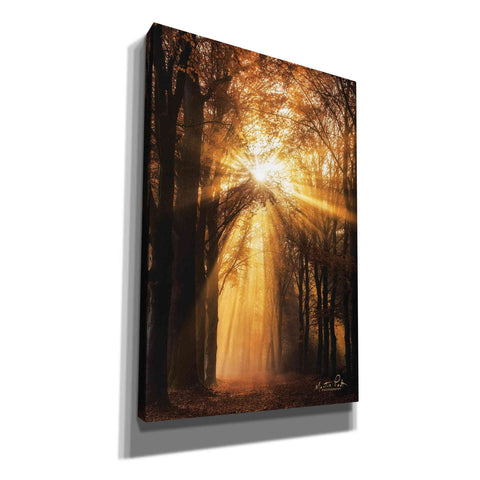 Image of 'Sunburst' by Martin Podt, Canvas Wall Art,Size A Portrait
